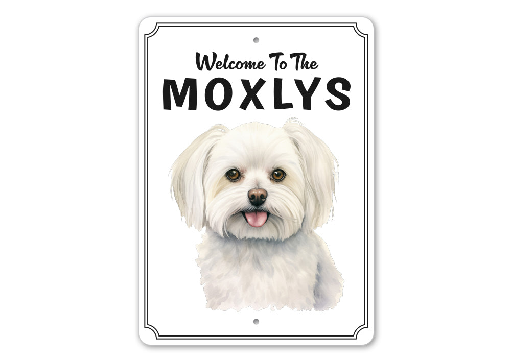 Maltese Welcome To Personalized Sign