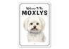 Maltese Welcome To Personalized Sign