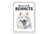 Samoyed Welcome To Personalized Sign