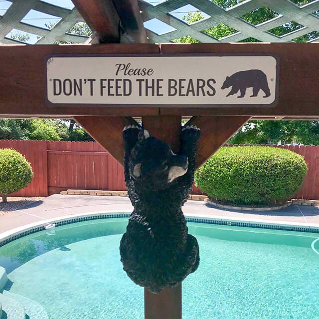 Dont Feed Bears Sign – Lizton Sign Shop dont-feed-bears-sign-lizton-sign-shop